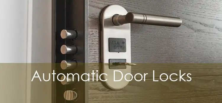 Automatic Door Locks 