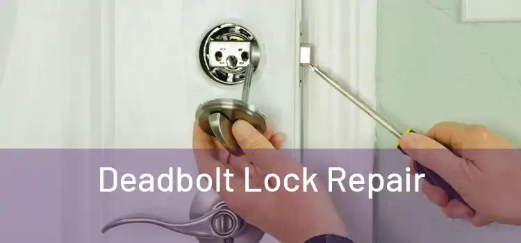 Deadbolt Lock Repair 