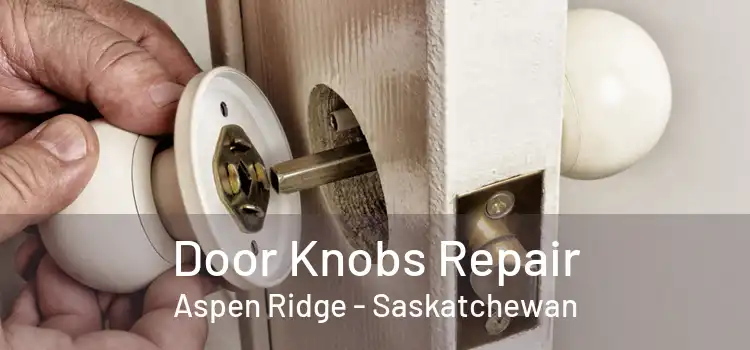 Door Knobs Repair Aspen Ridge - Saskatchewan