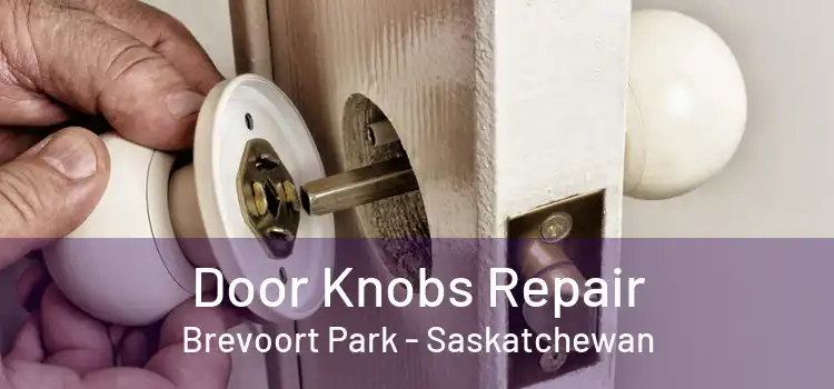 Door Knobs Repair Brevoort Park - Saskatchewan