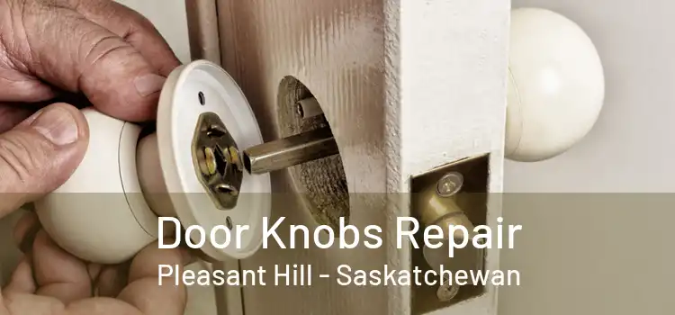 Door Knobs Repair Pleasant Hill - Saskatchewan