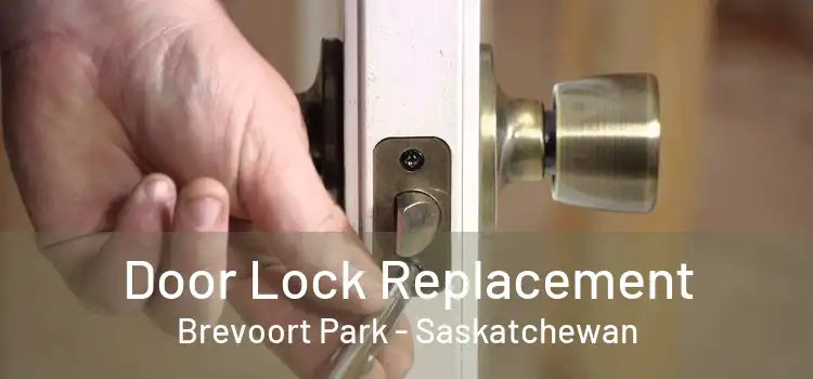 Door Lock Replacement Brevoort Park - Saskatchewan