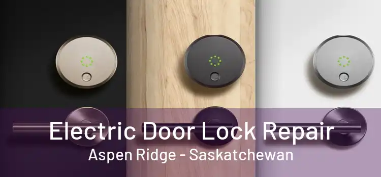 Electric Door Lock Repair Aspen Ridge - Saskatchewan