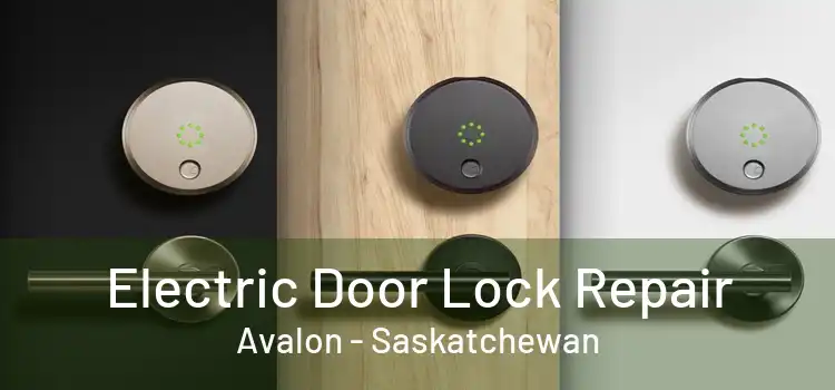 Electric Door Lock Repair Avalon - Saskatchewan