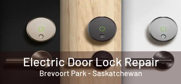 Electric Door Lock Repair Brevoort Park - Saskatchewan