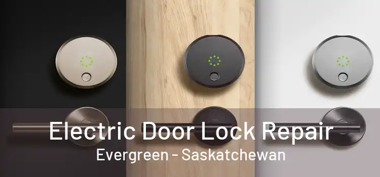 Electric Door Lock Repair Evergreen - Saskatchewan