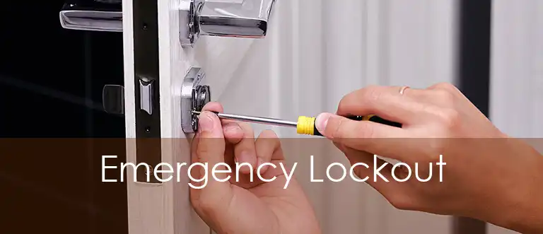 Emergency Lockout 