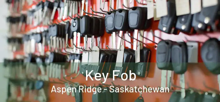 Key Fob Aspen Ridge - Saskatchewan