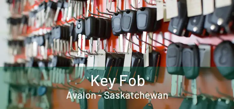 Key Fob Avalon - Saskatchewan