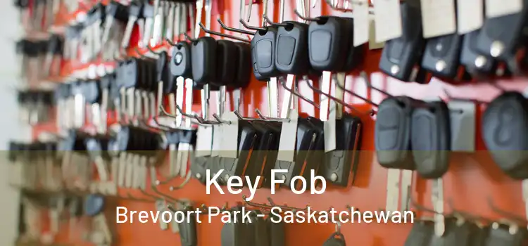 Key Fob Brevoort Park - Saskatchewan