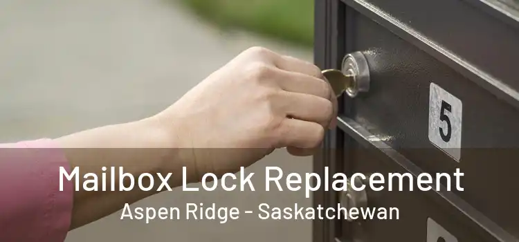 Mailbox Lock Replacement Aspen Ridge - Saskatchewan