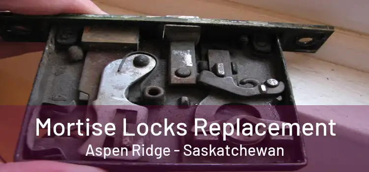 Mortise Locks Replacement Aspen Ridge - Saskatchewan