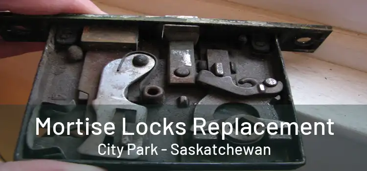 Mortise Locks Replacement City Park - Saskatchewan