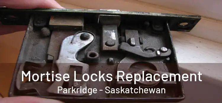 Mortise Locks Replacement Parkridge - Saskatchewan