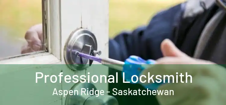 Professional Locksmith Aspen Ridge - Saskatchewan