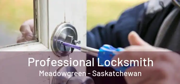 Professional Locksmith Meadowgreen - Saskatchewan